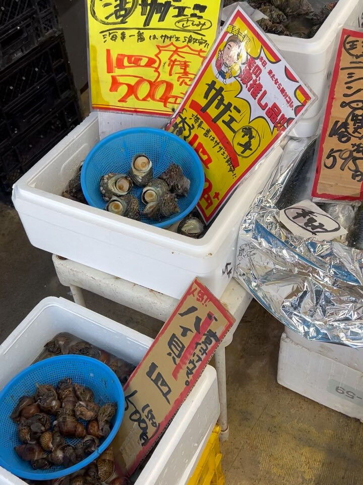 本日、月曜start🐟
