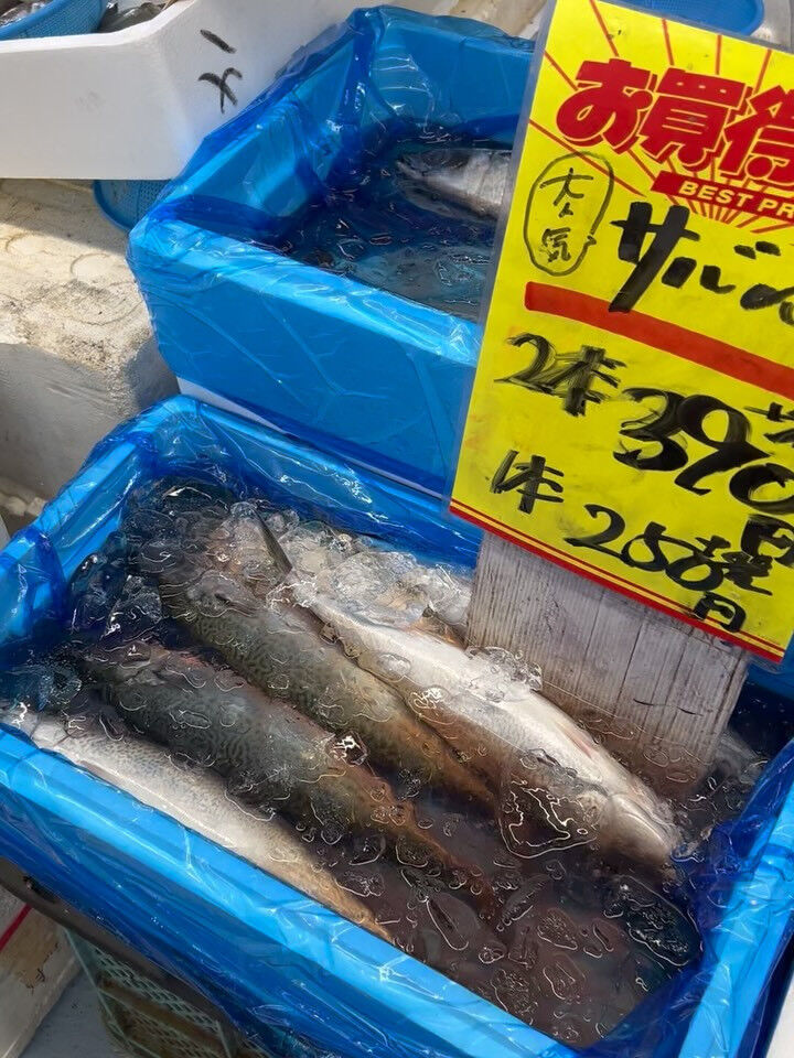 本日、月曜start🐟