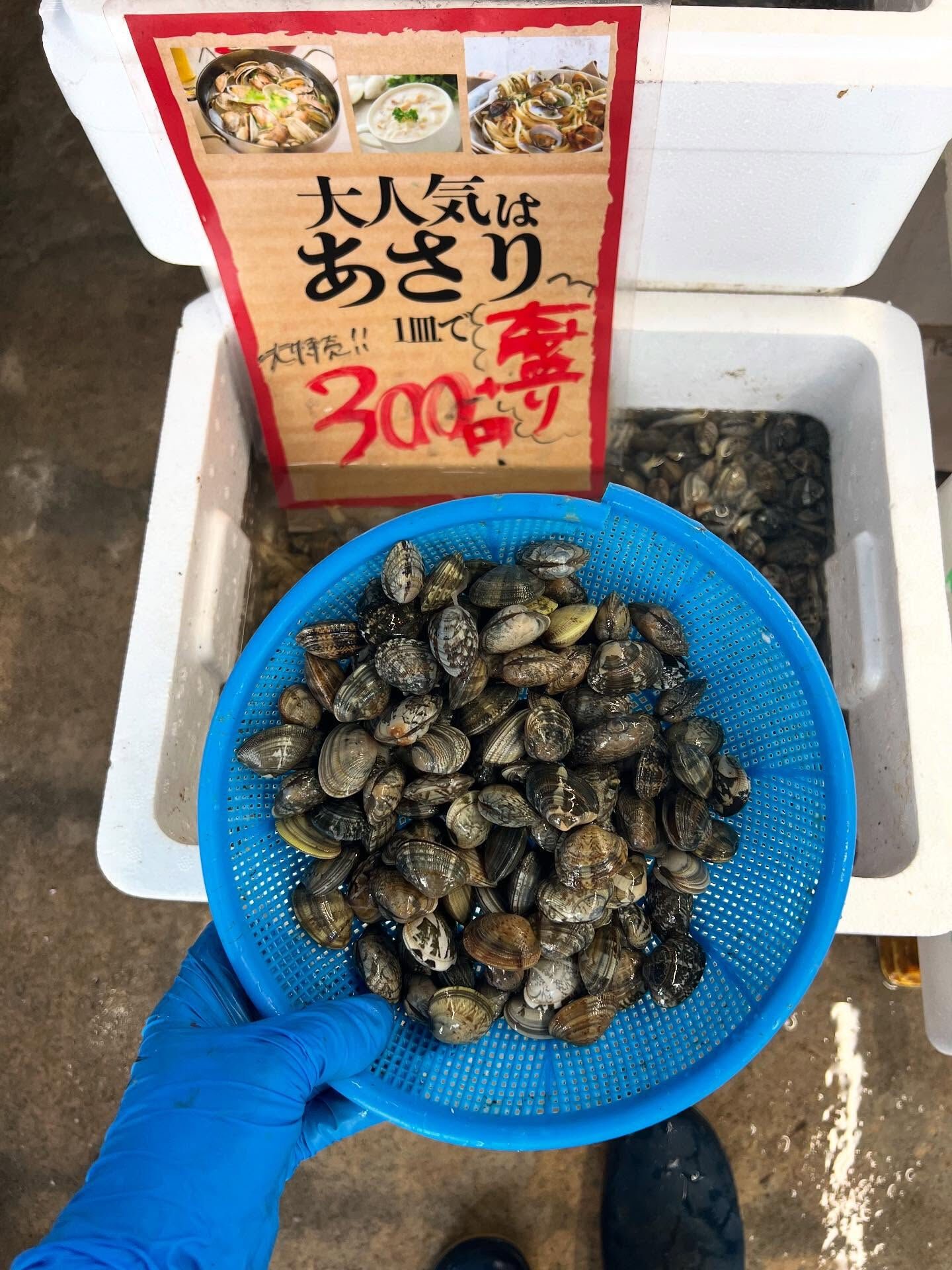 本日、火曜start🐟