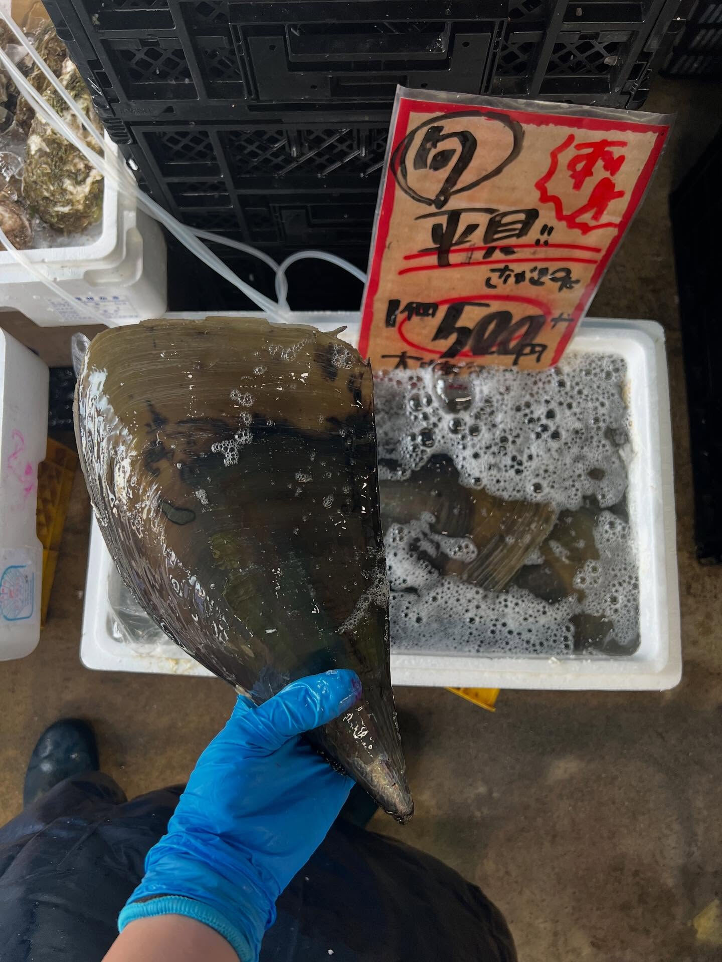 本日、火曜start🐟
