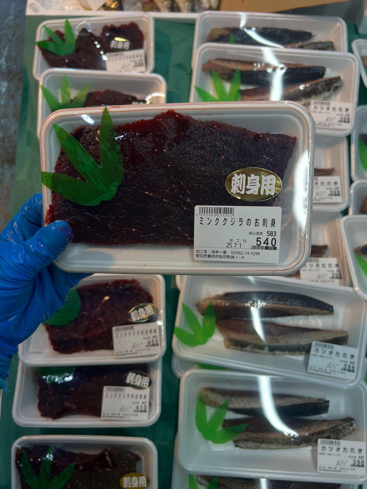本日、火曜start🐟