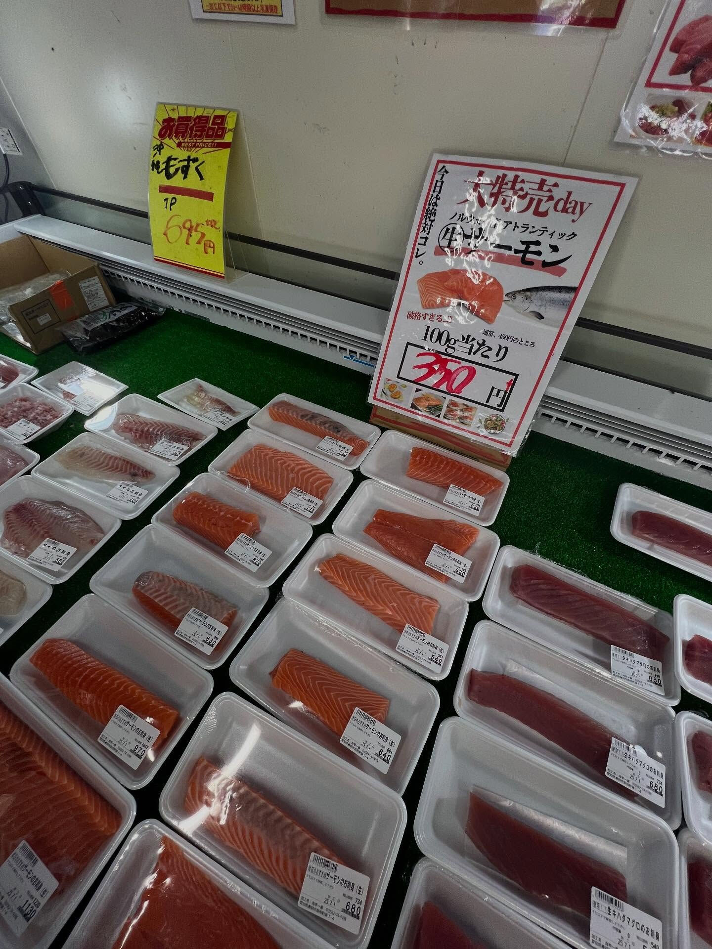 本日、火曜start🐟