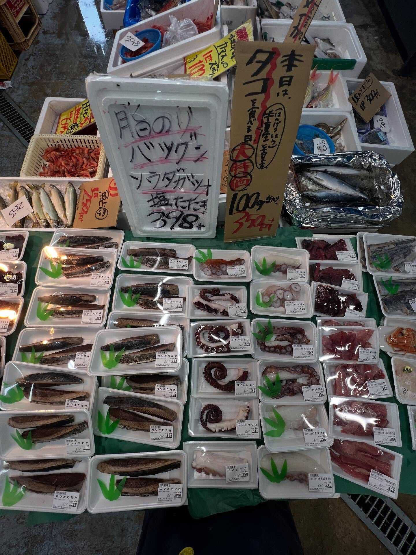 本日、火曜start🐟