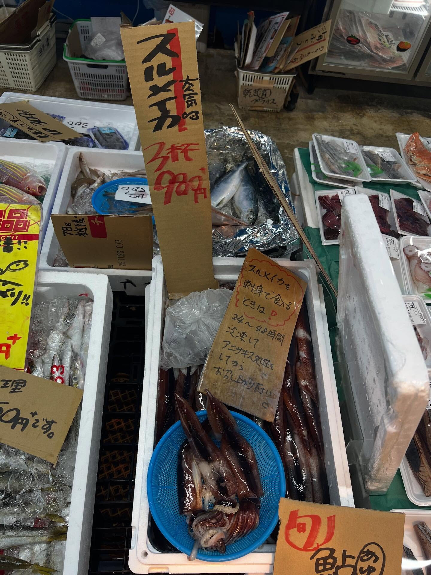 本日、火曜start🐟
