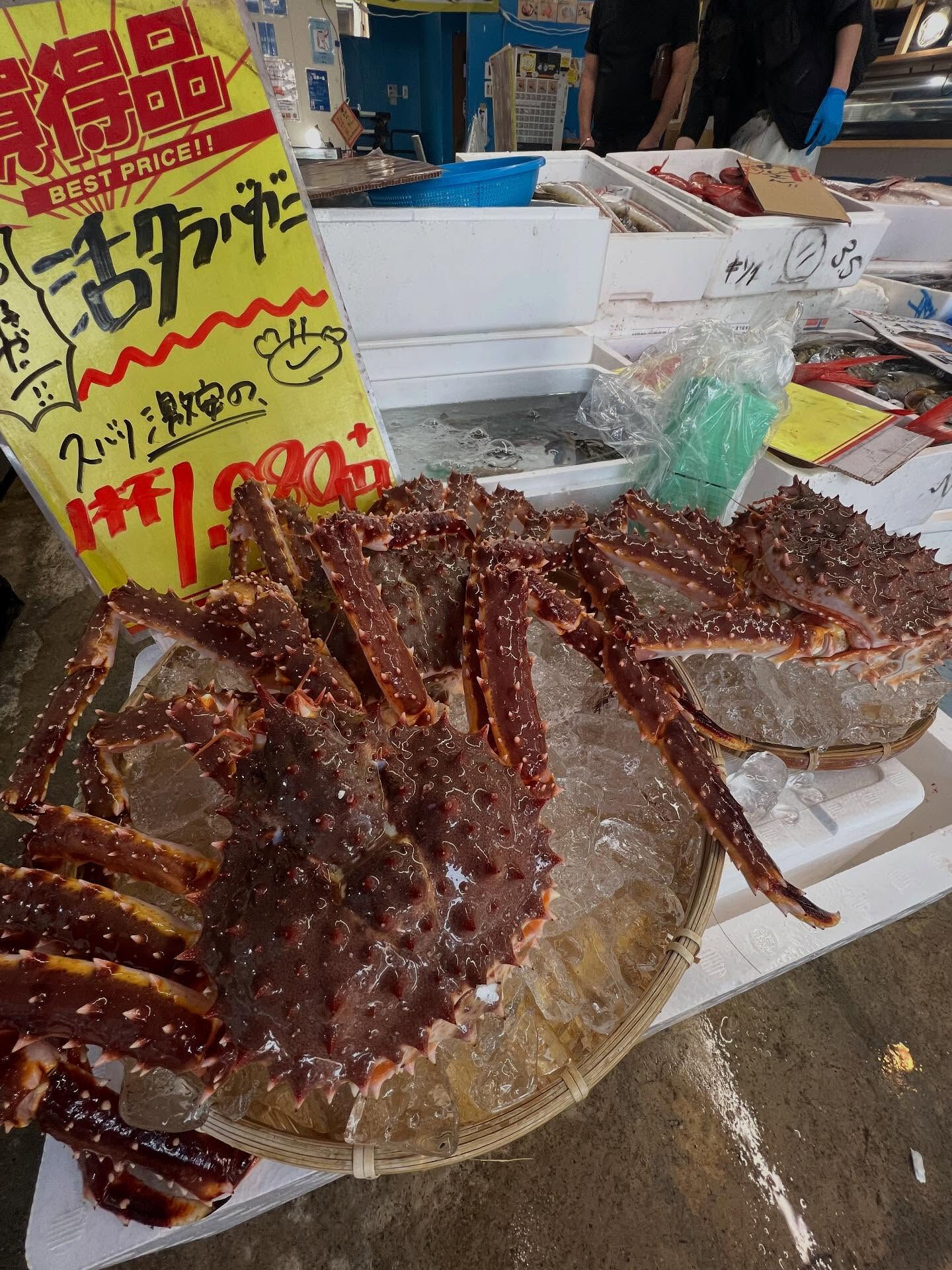 本日、木曜start🐟