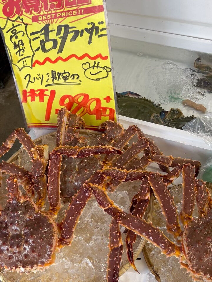 本日、木曜start🐟