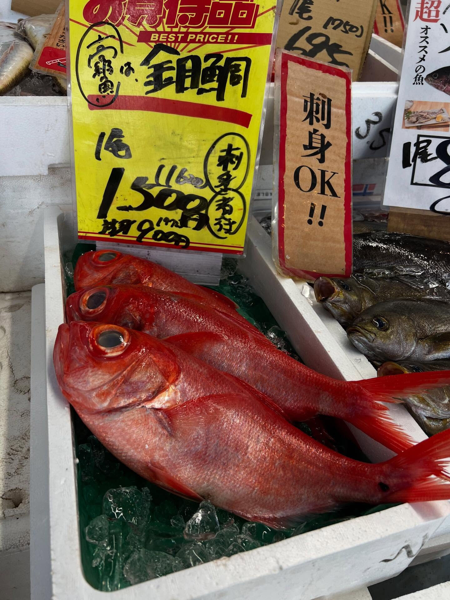 本日、木曜start🐟