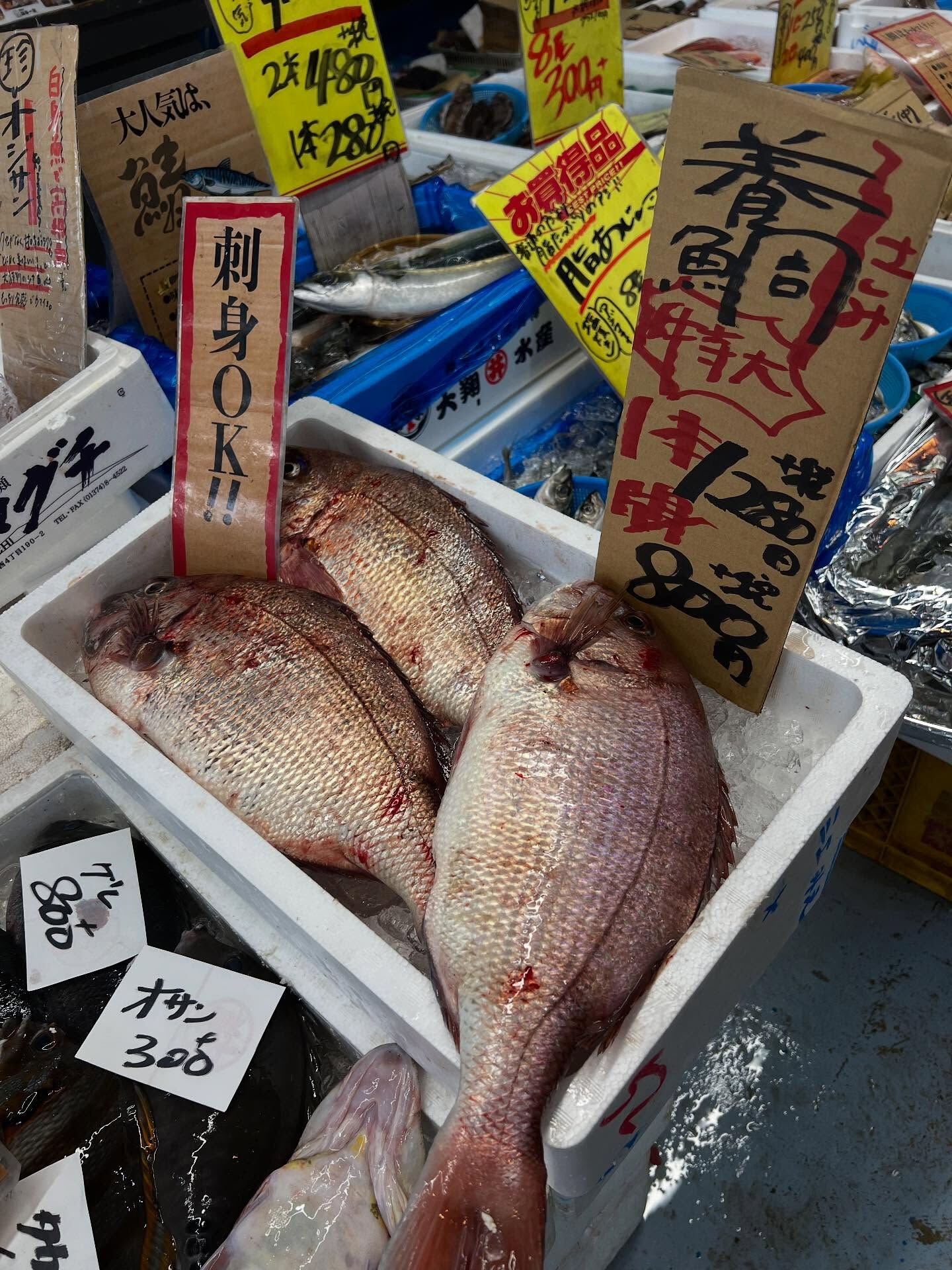 本日、木曜start🐟