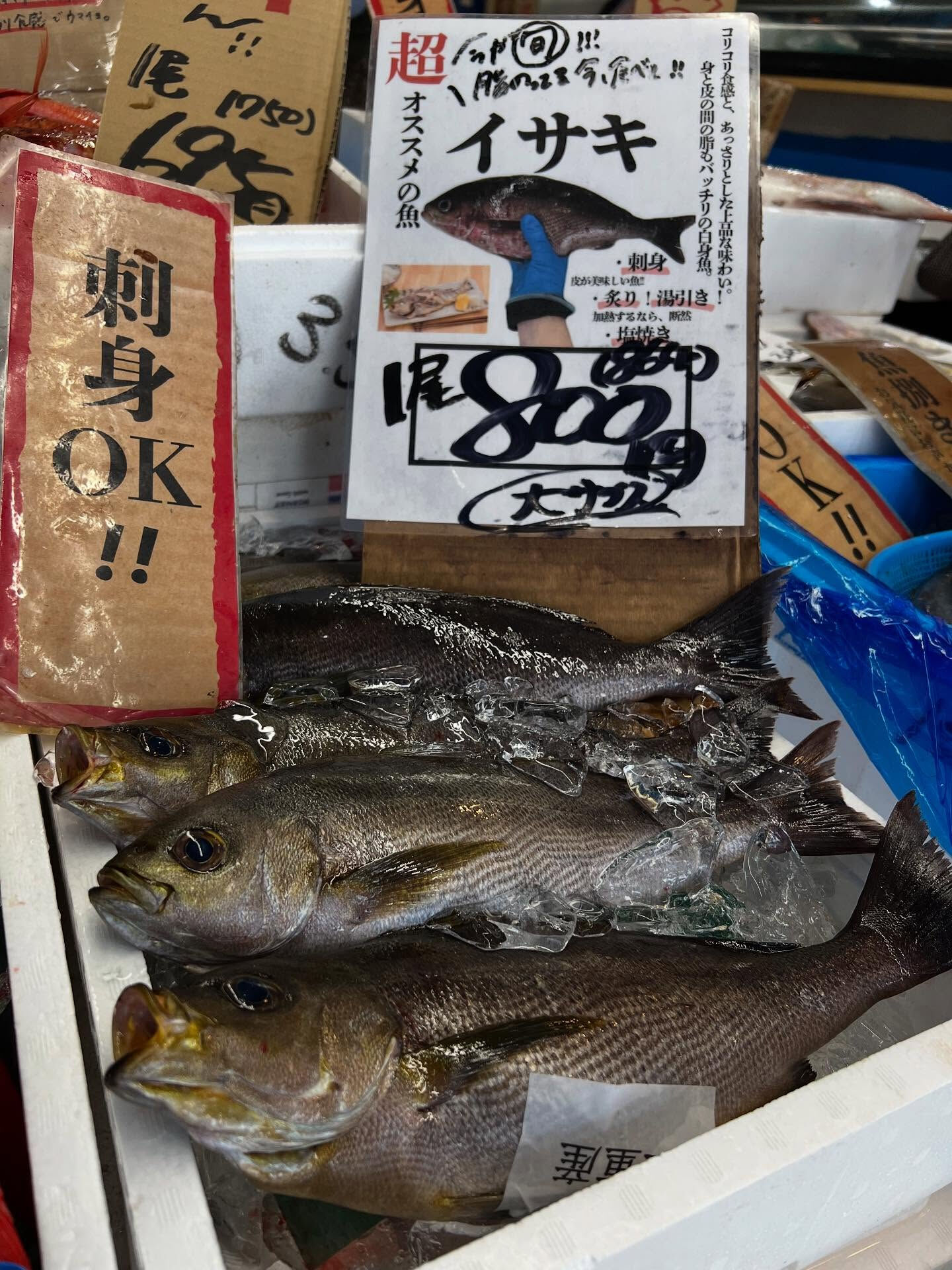 本日、木曜start🐟