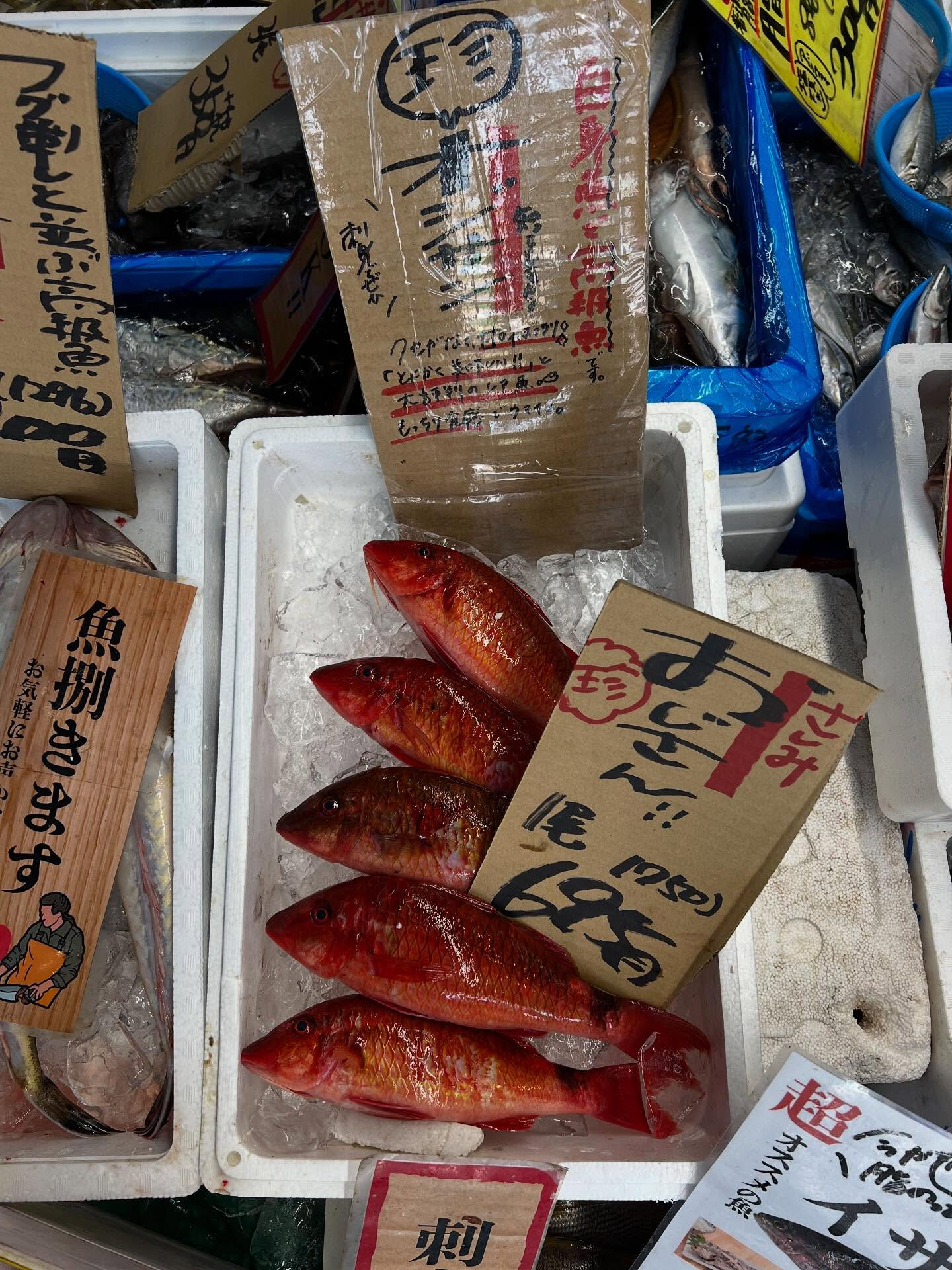 本日、木曜start🐟