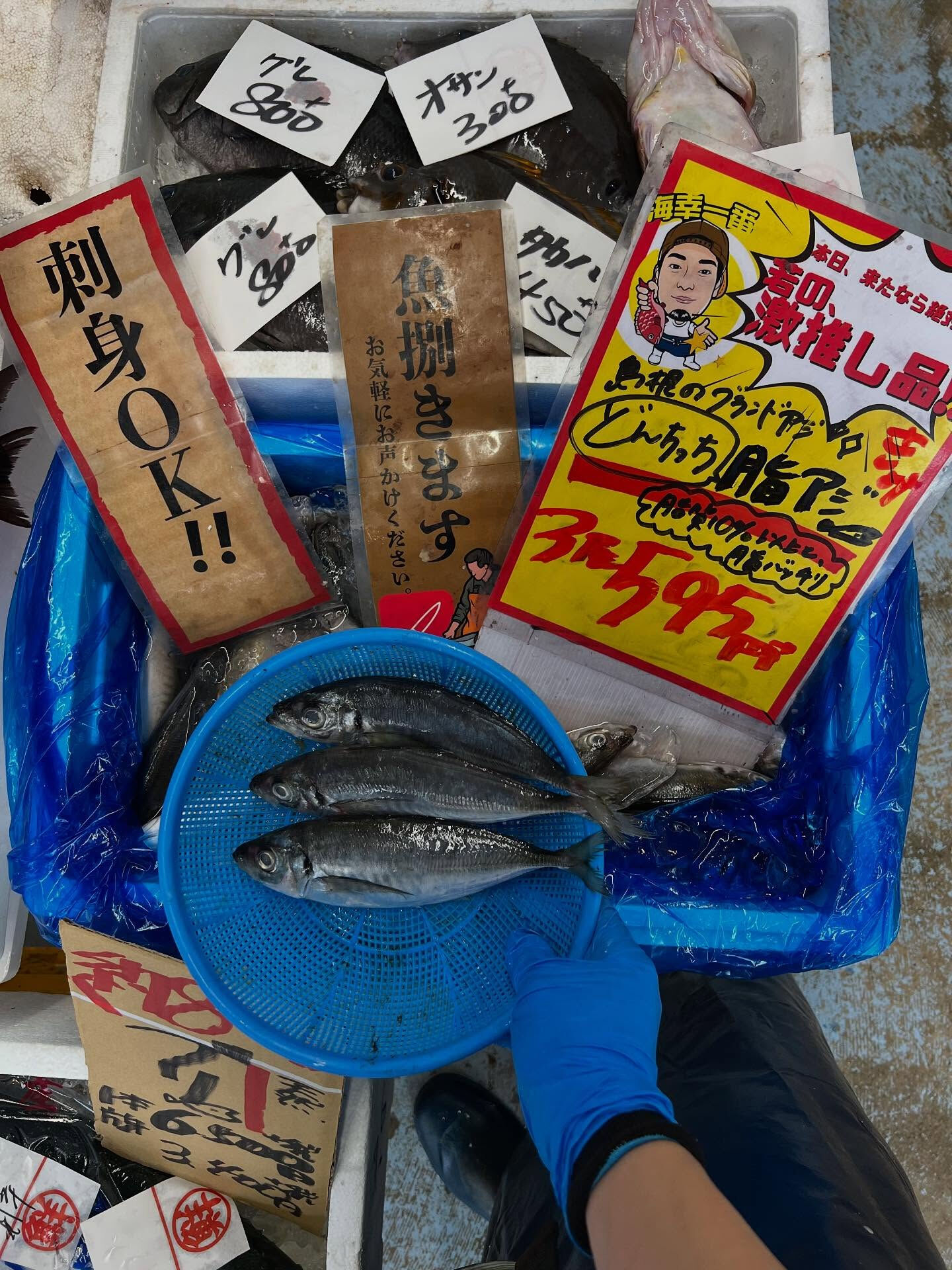 本日、木曜start🐟
