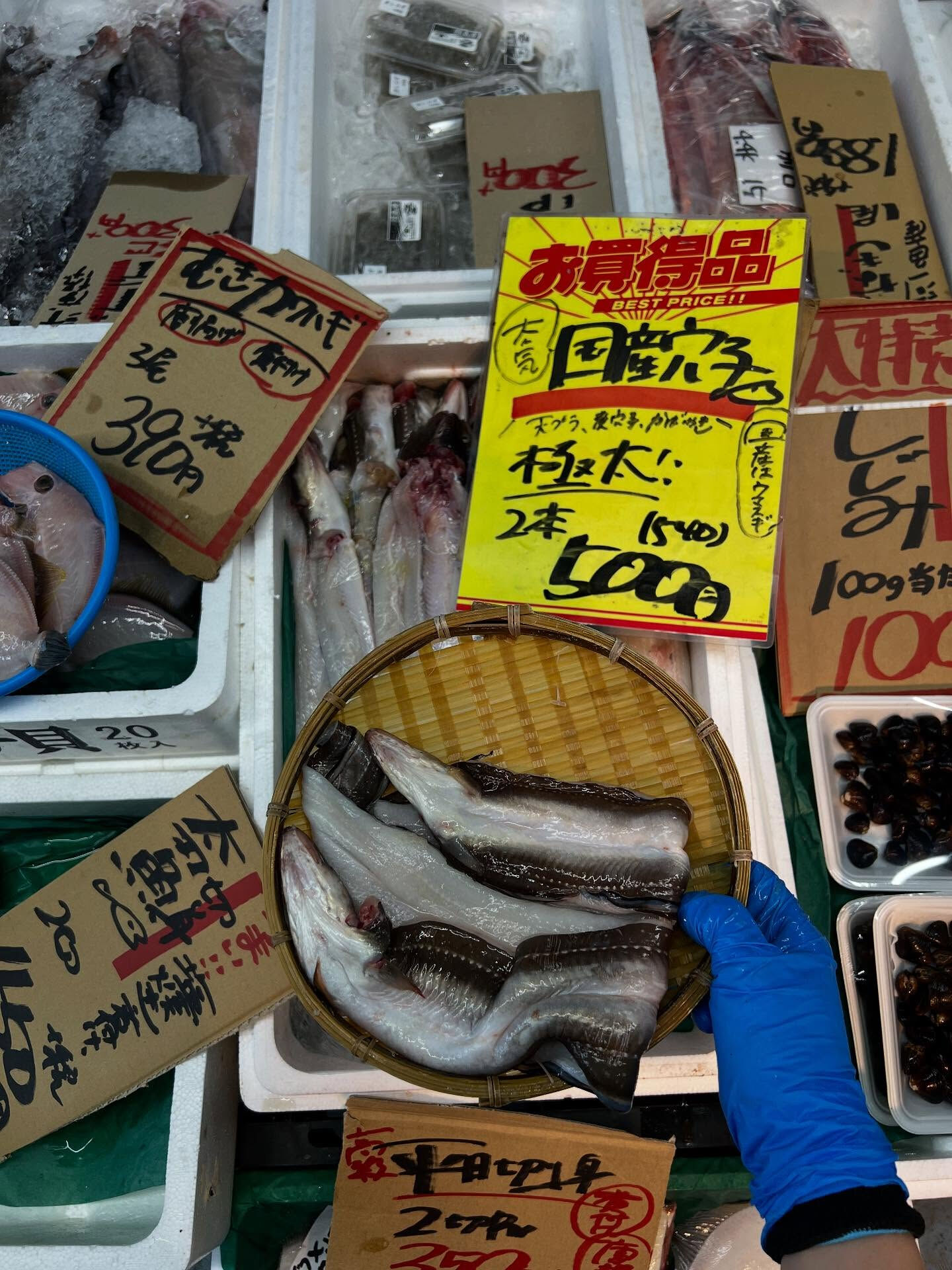 本日、木曜start🐟