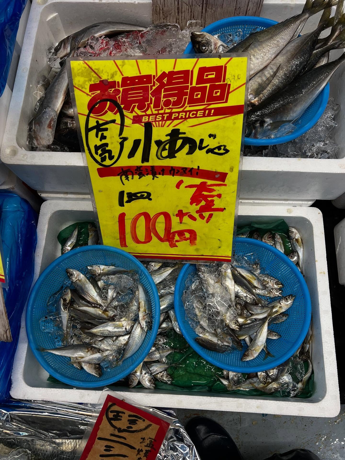 本日、木曜start🐟