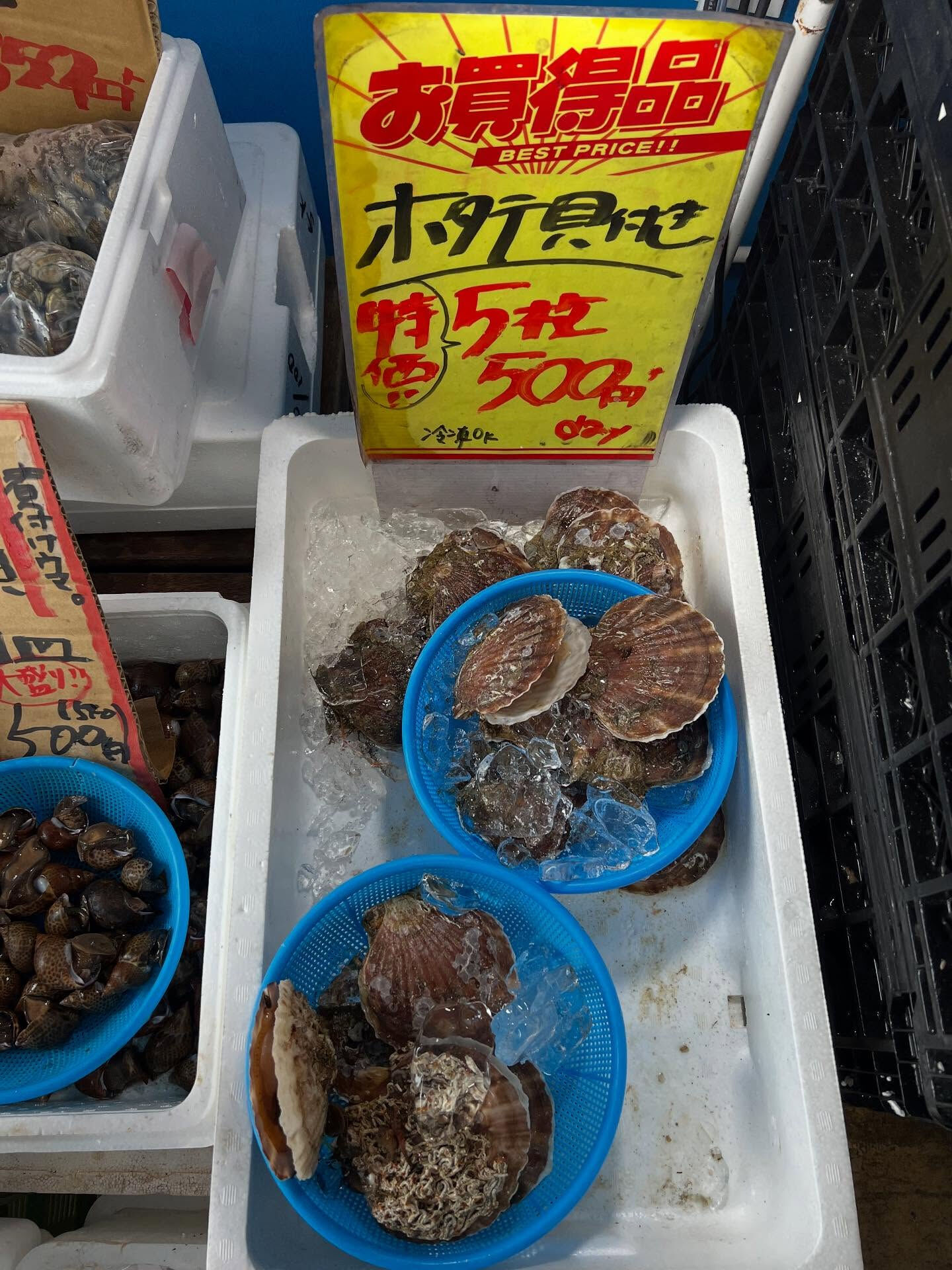 本日、木曜start🐟