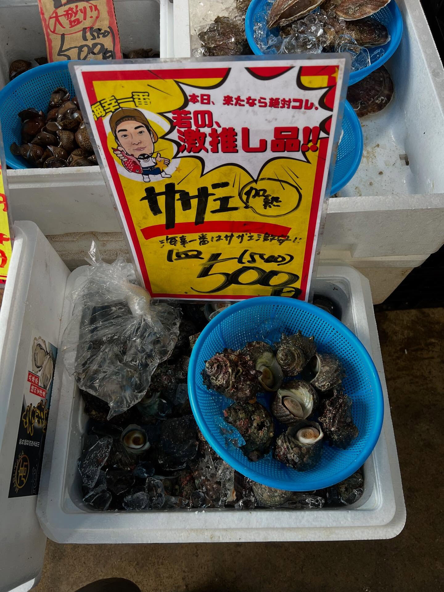 本日、木曜start🐟