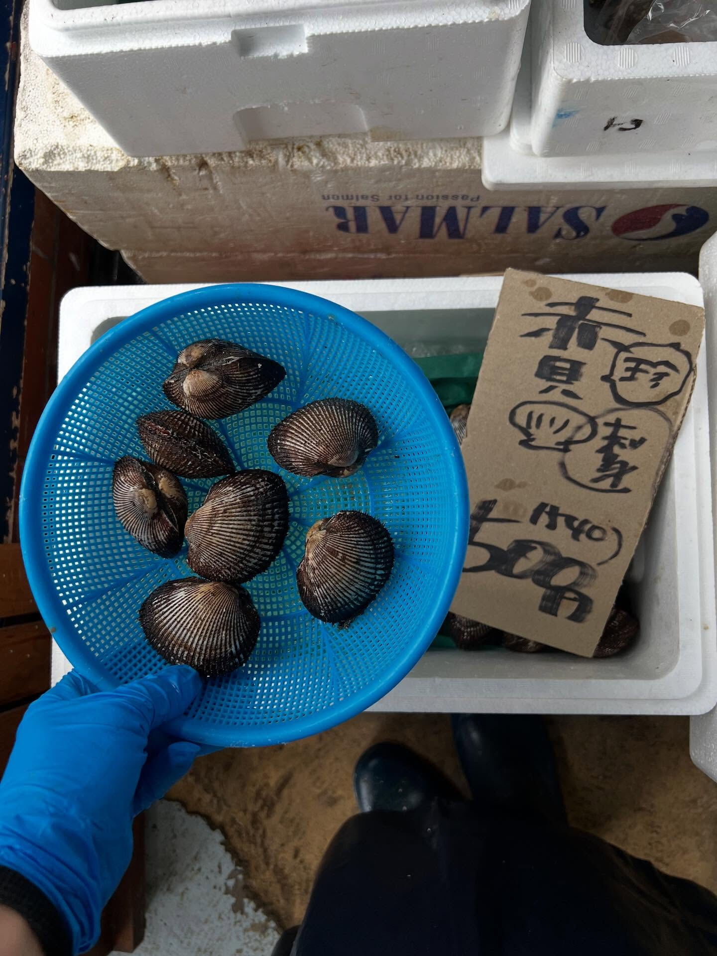 本日、木曜start🐟