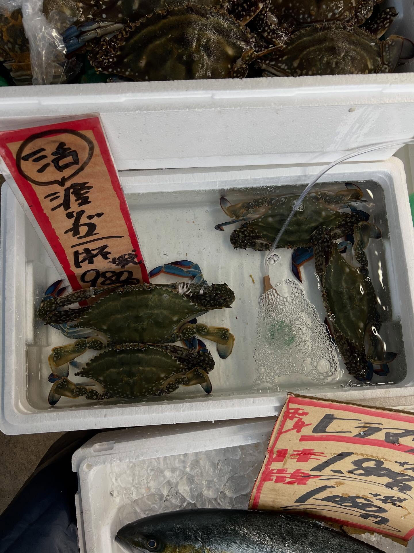 本日、木曜start🐟