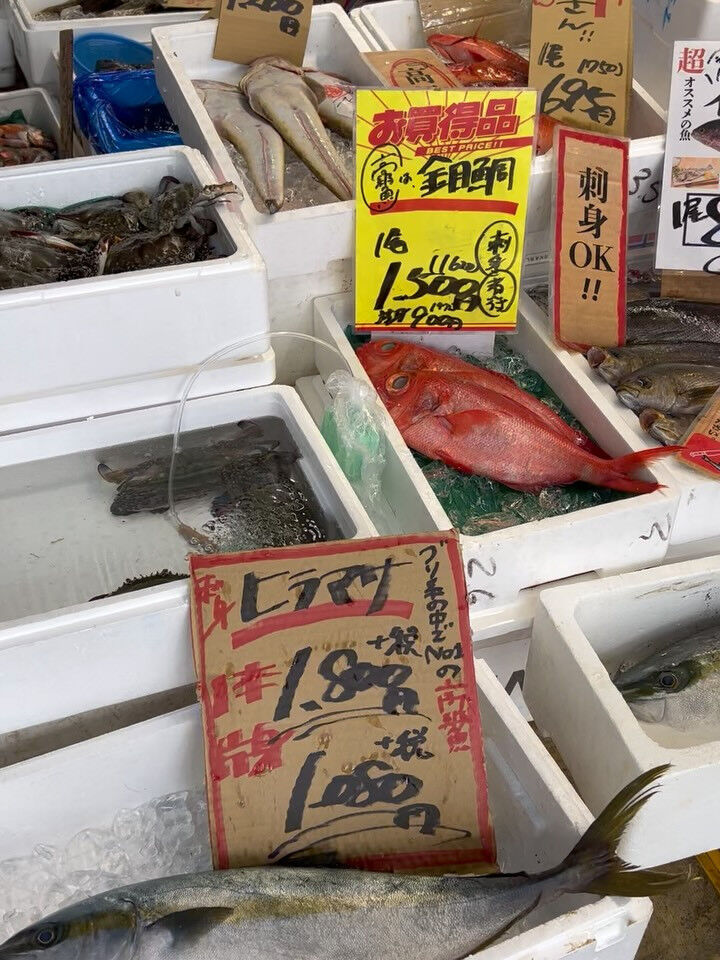 本日、木曜start🐟