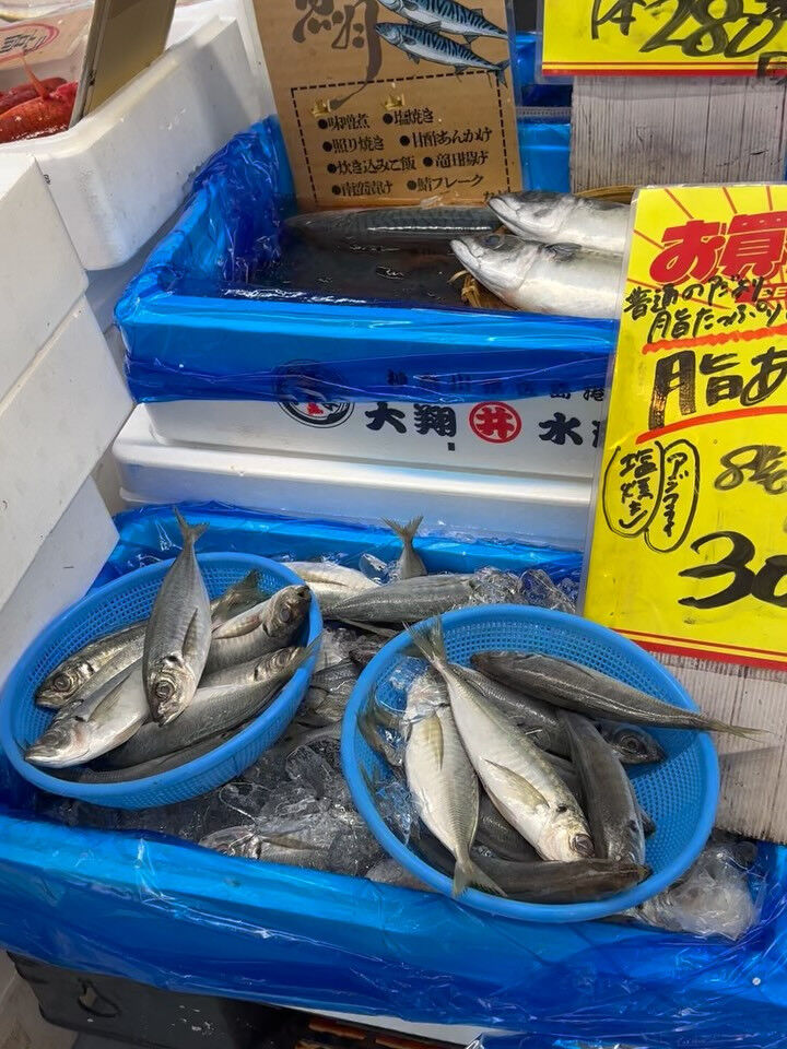 本日、木曜start🐟