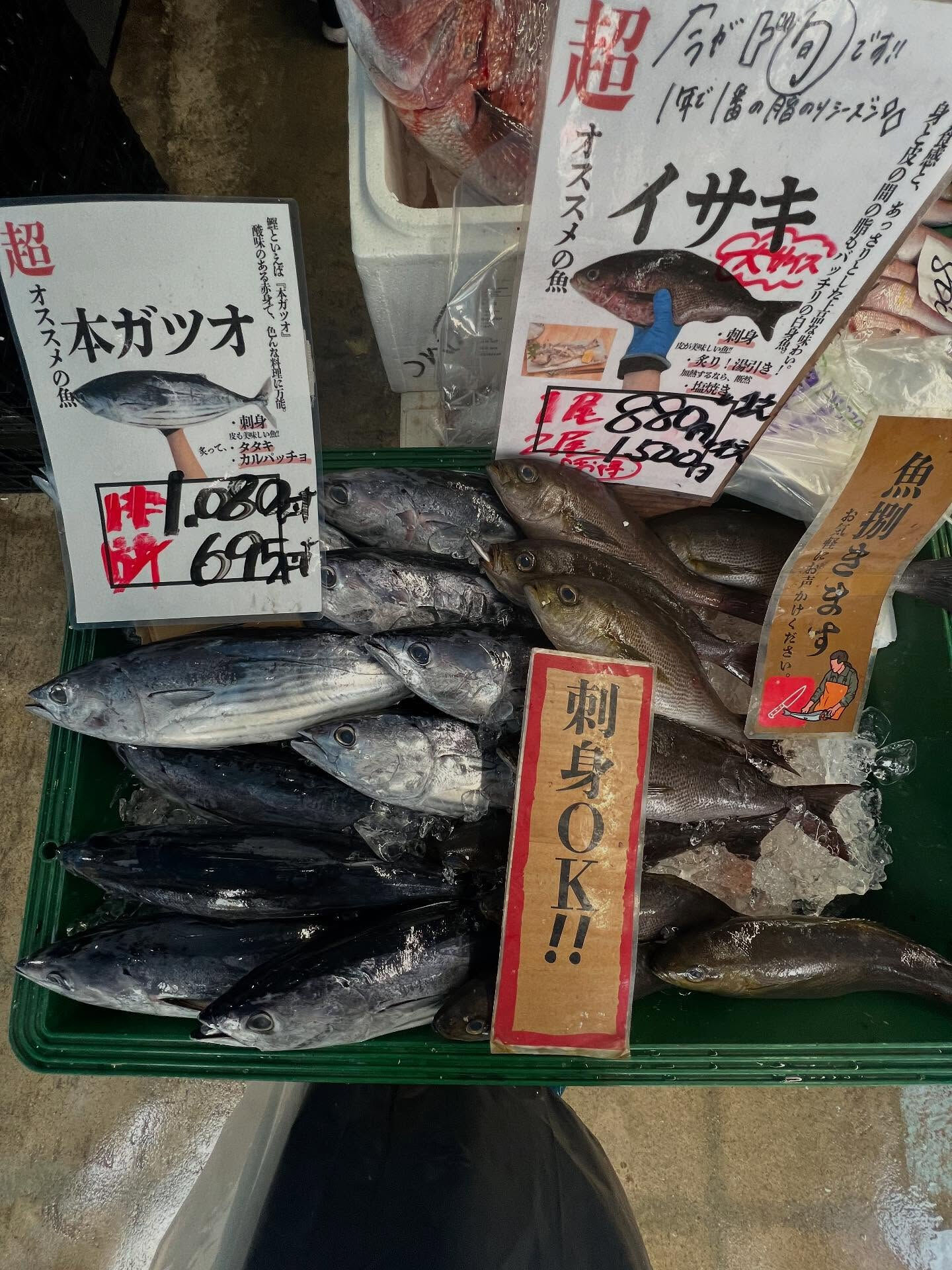本日、日曜日start🐟