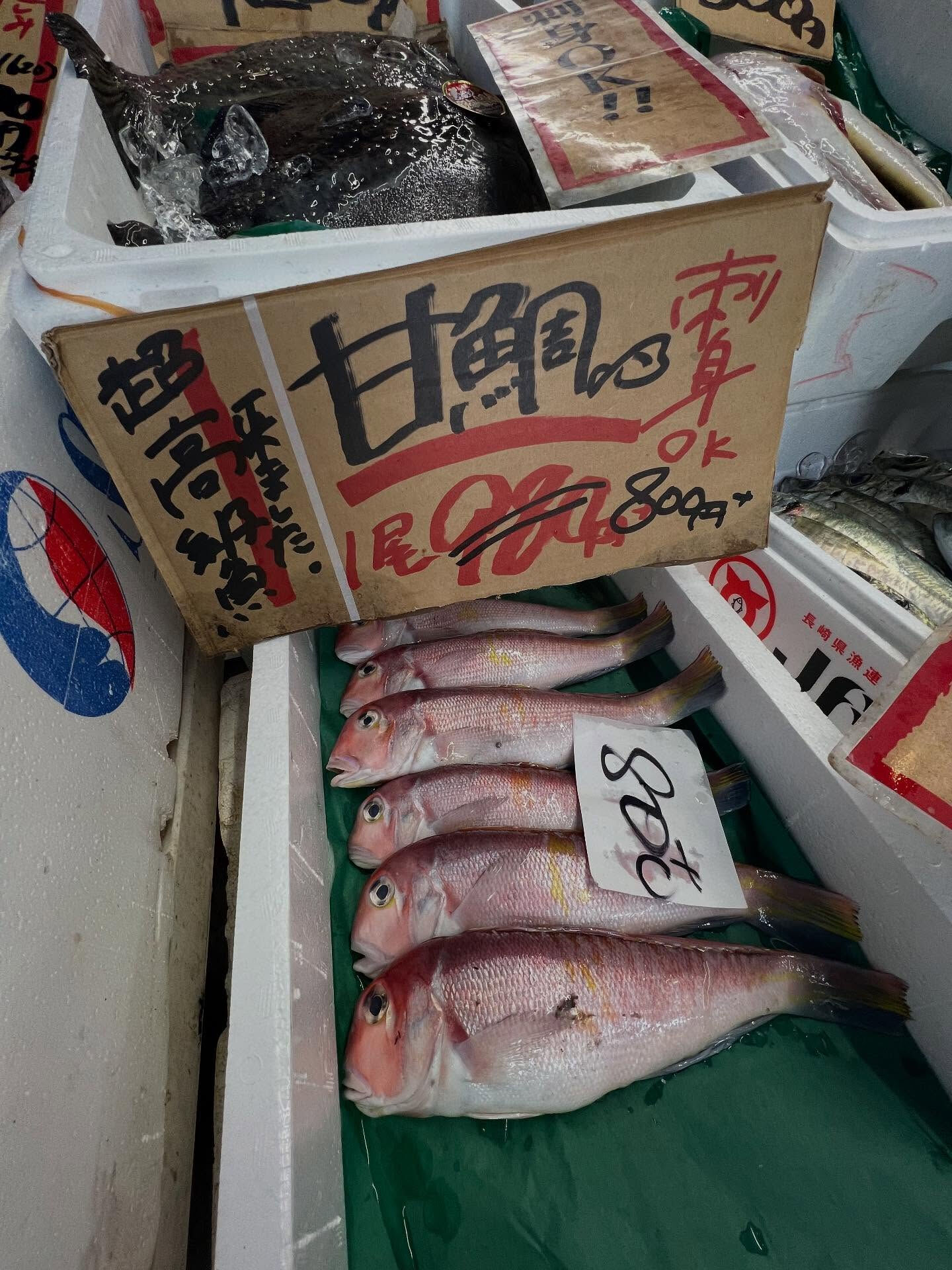 本日、日曜日start🐟