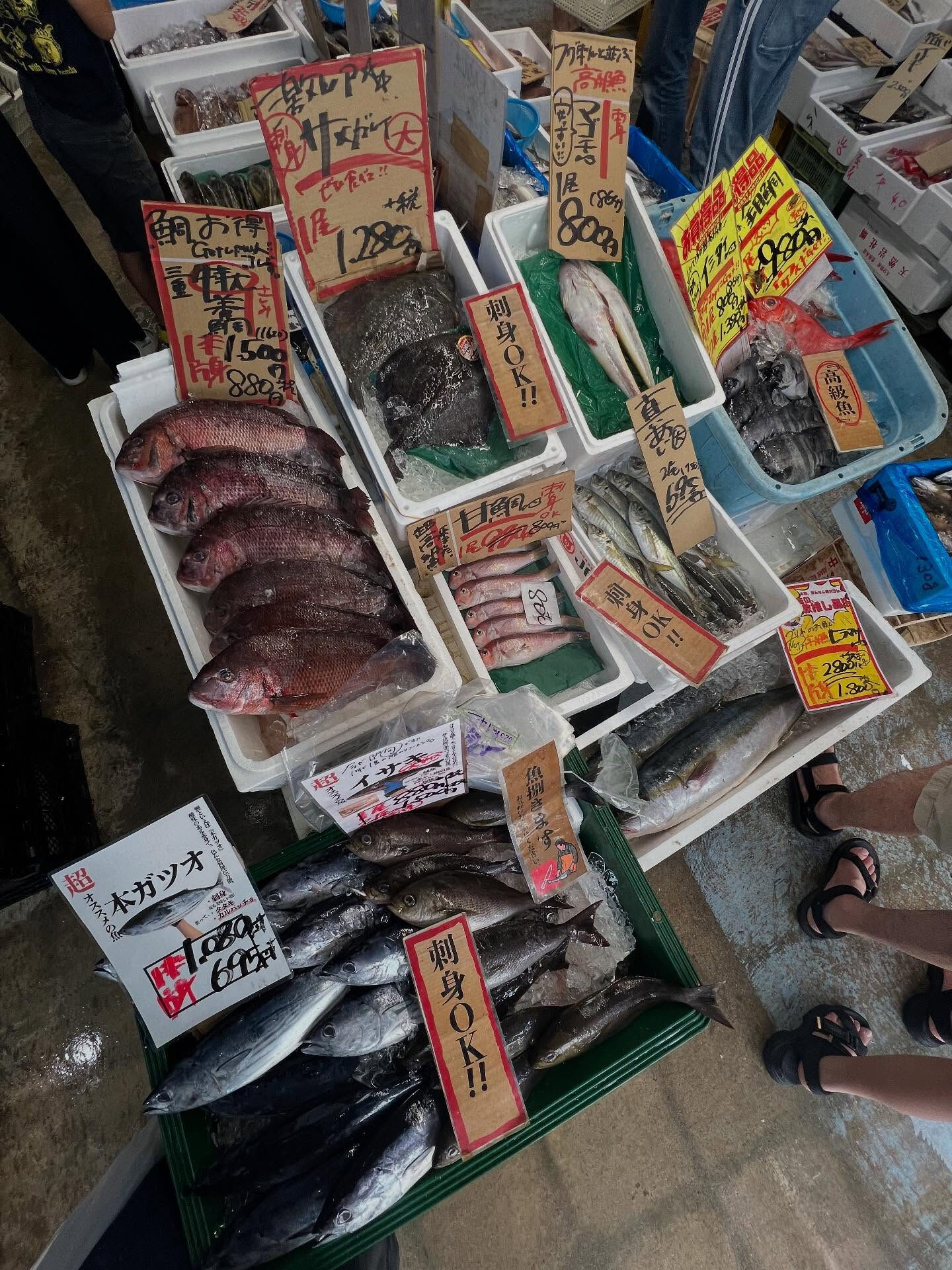 本日、日曜日start🐟