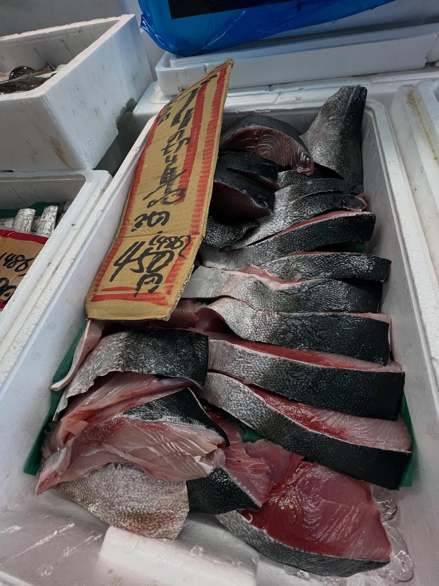 本日、日曜日start🐟
