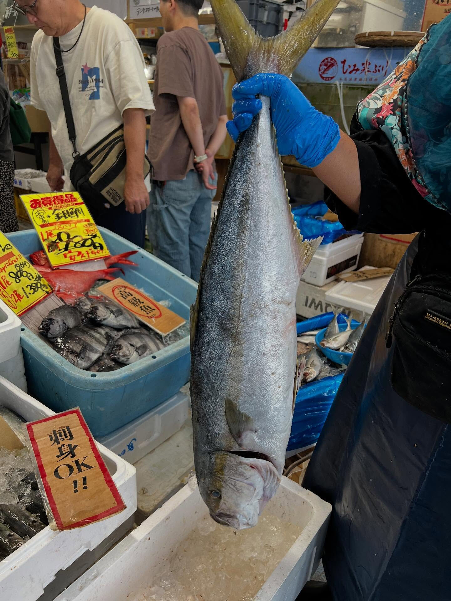 本日、日曜日start🐟