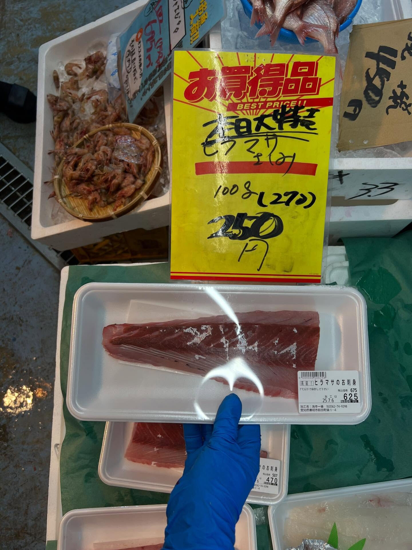 本日、日曜日start🐟