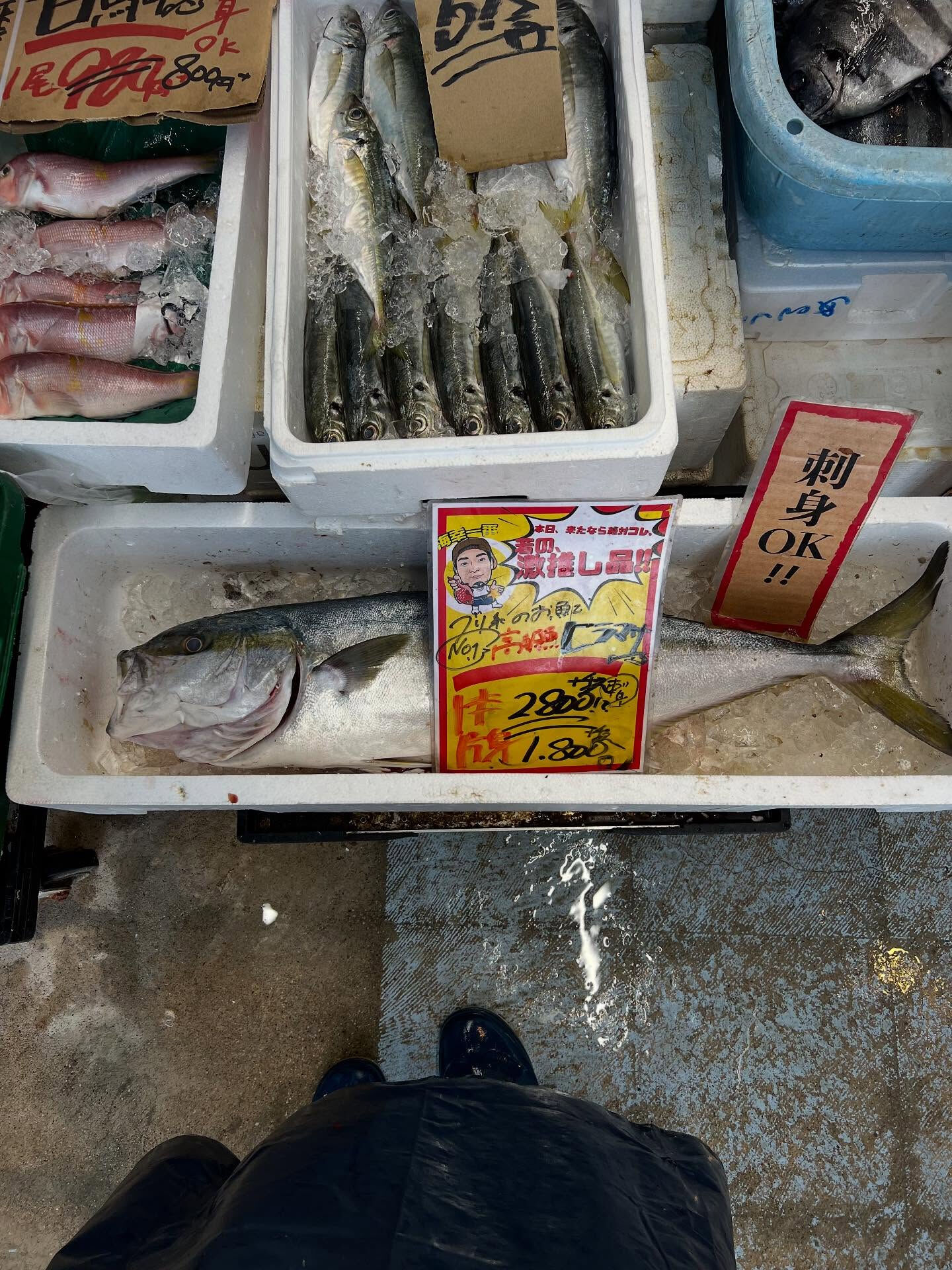 本日、日曜日start🐟