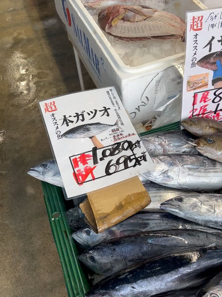 本日、日曜日start🐟