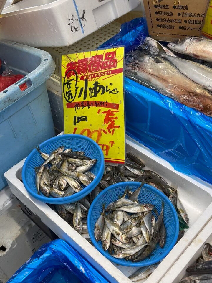 本日、日曜日start🐟