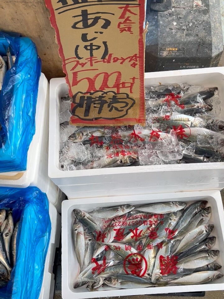 本日、日曜日start🐟