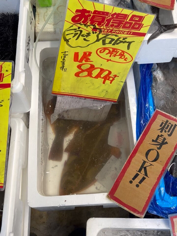 本日、月曜start🐟