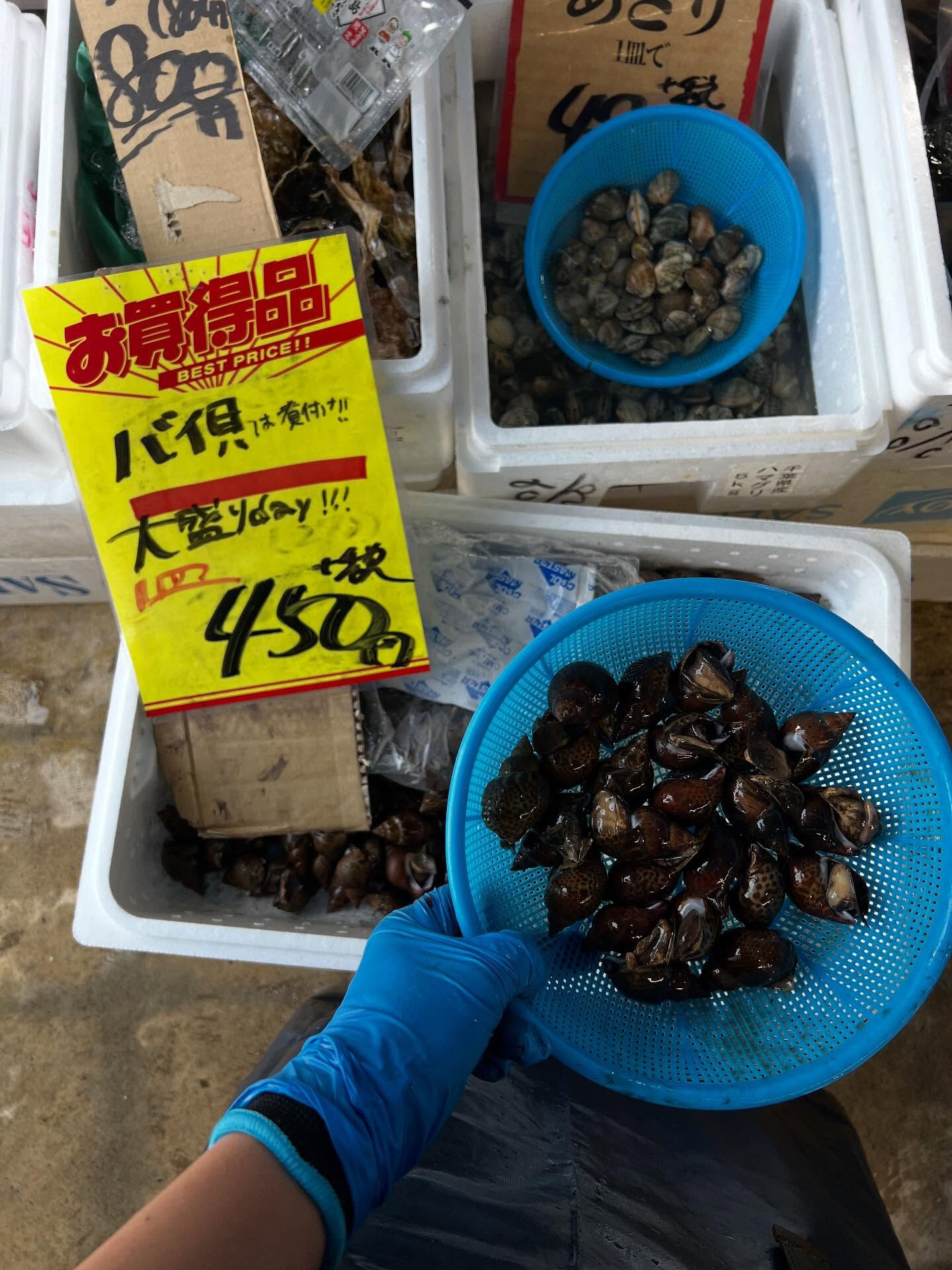本日、月曜start🐟