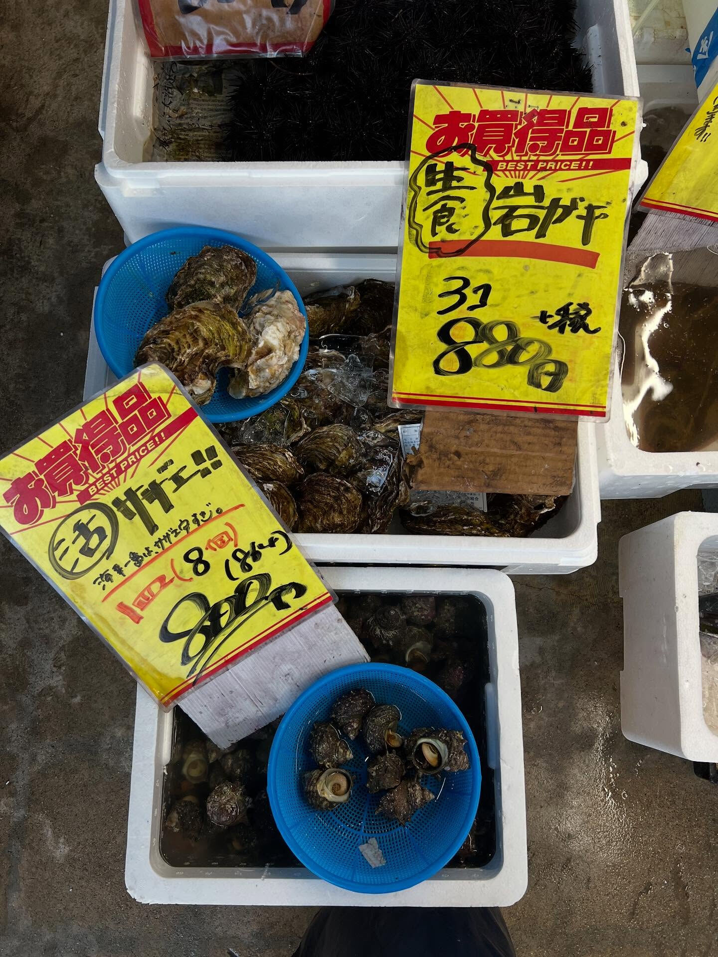 本日、月曜start🐟