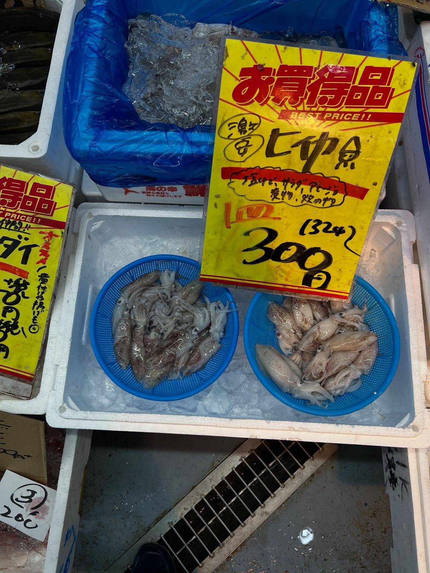 本日、月曜start🐟