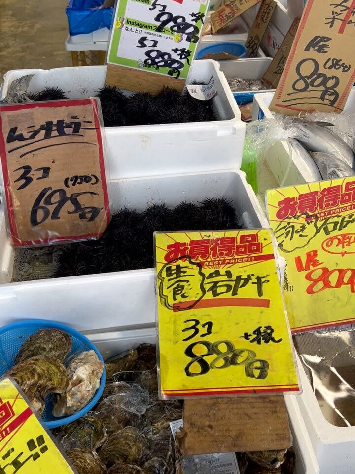 本日、月曜start🐟