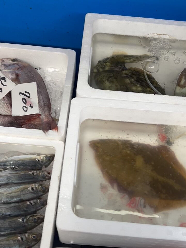 本日、月曜start🐟