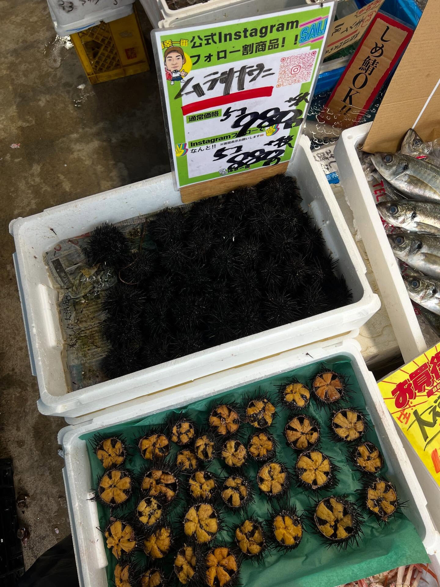本日火曜日もstart!!