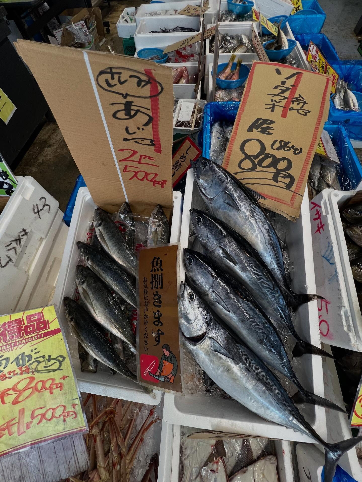 本日火曜日もstart!!