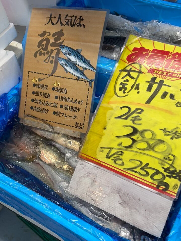 本日火曜日もstart!!