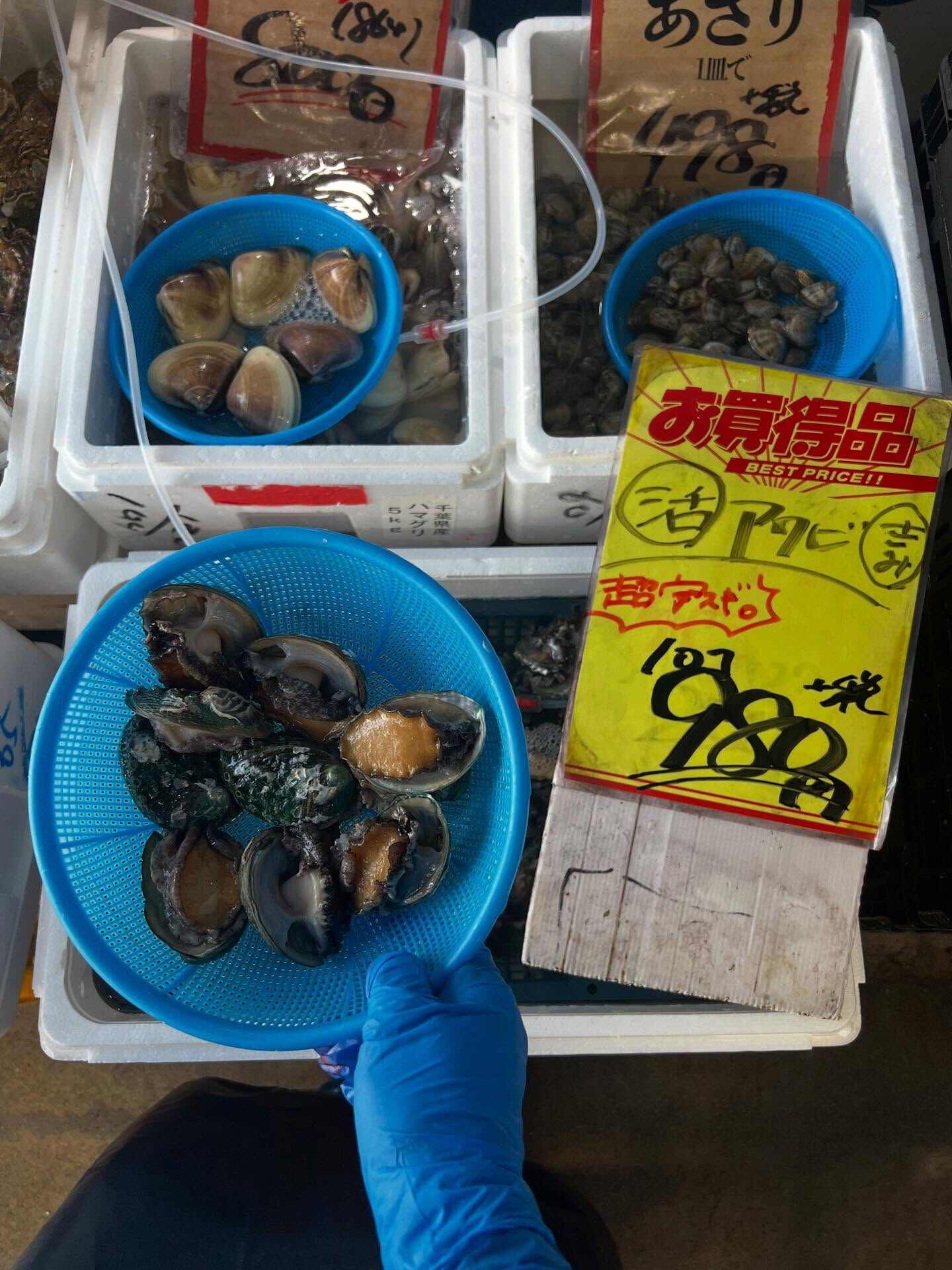本日木曜日start!!