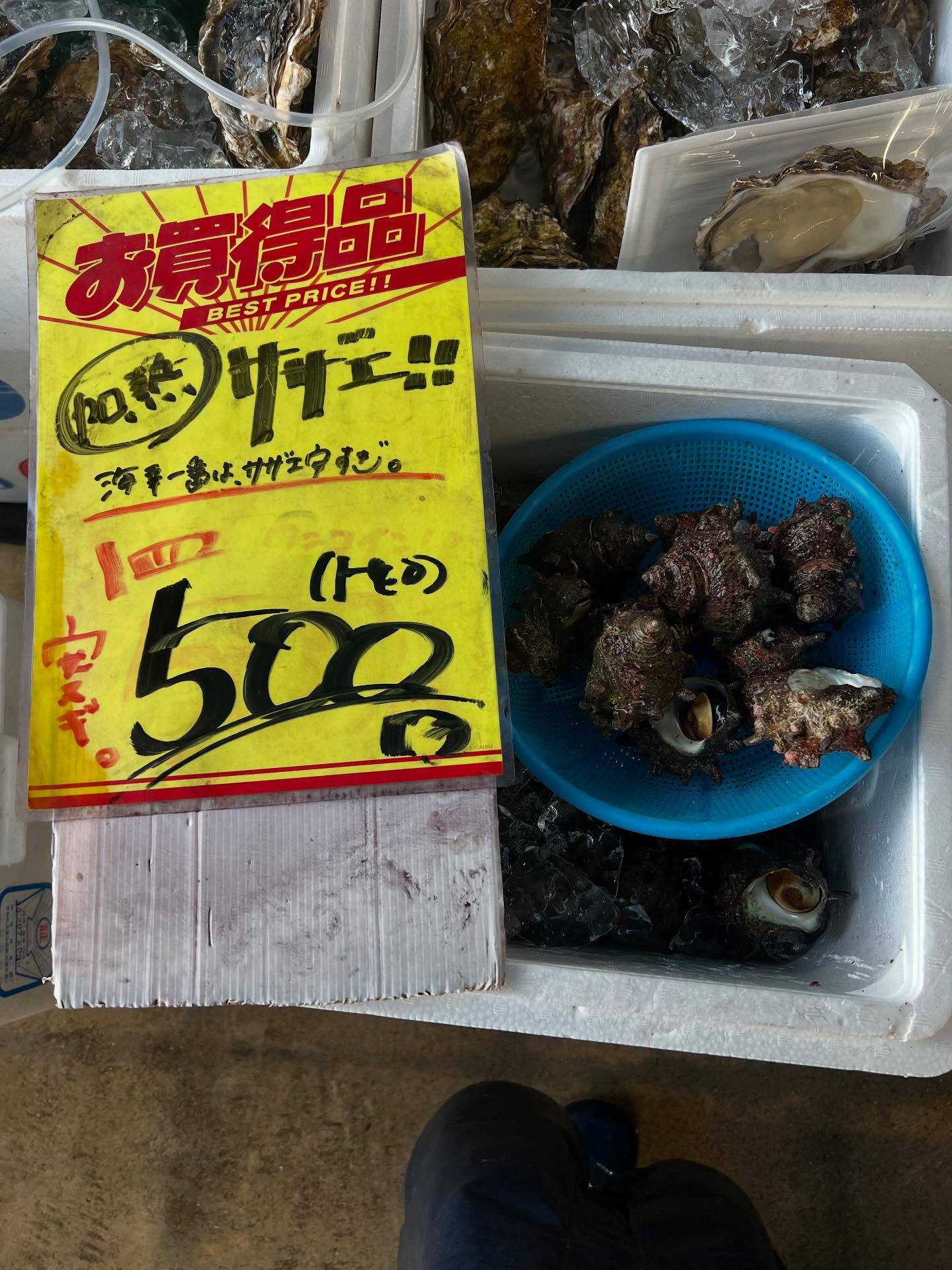 本日木曜日start!!