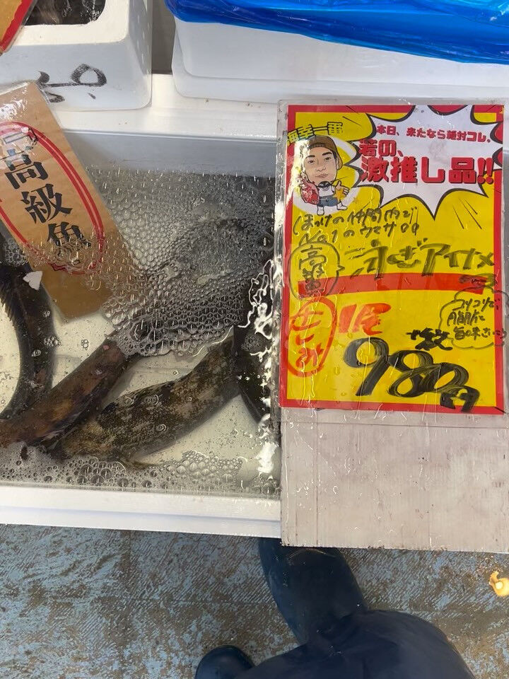 本日木曜日start!!