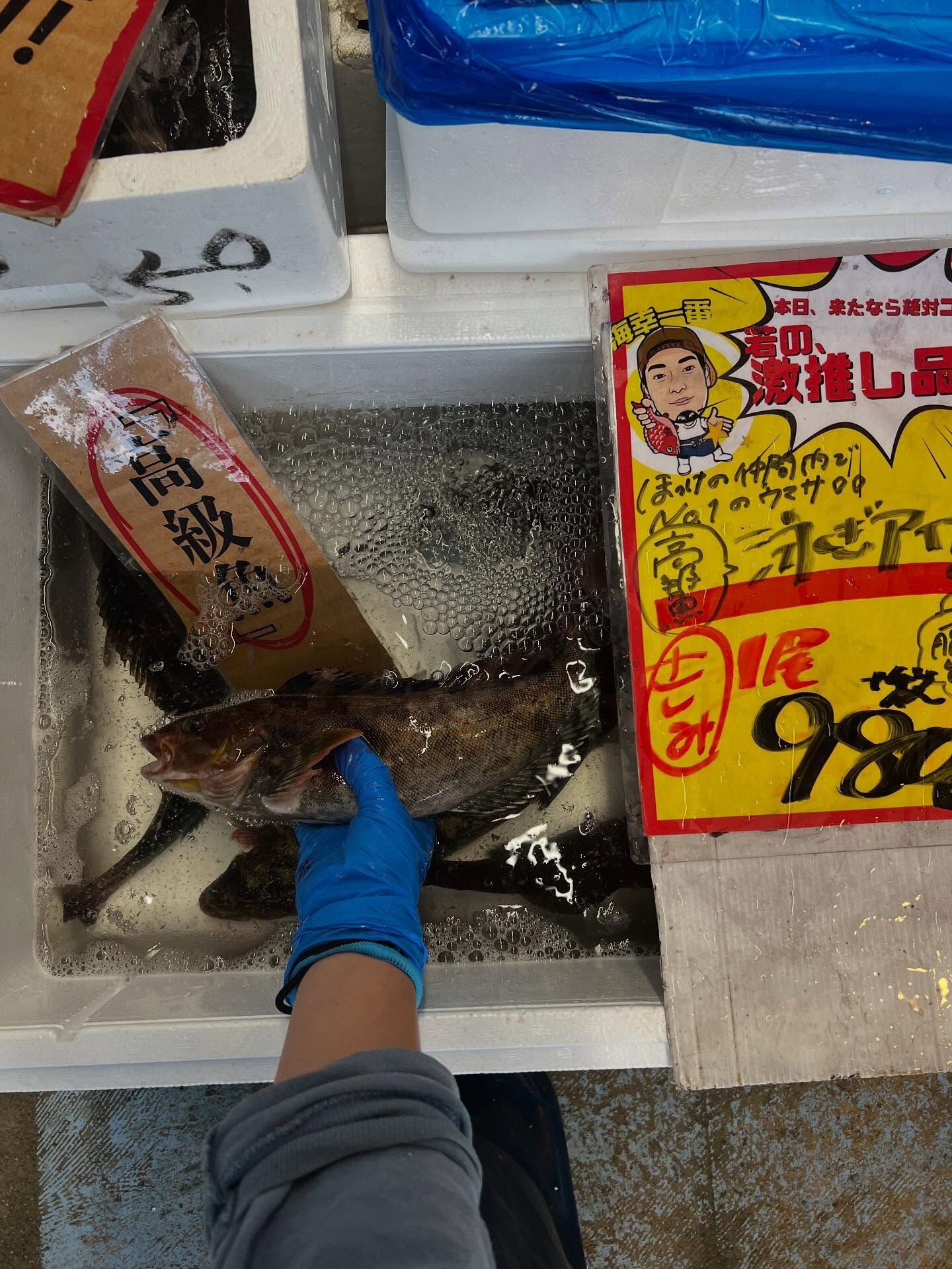 本日木曜日start!!
