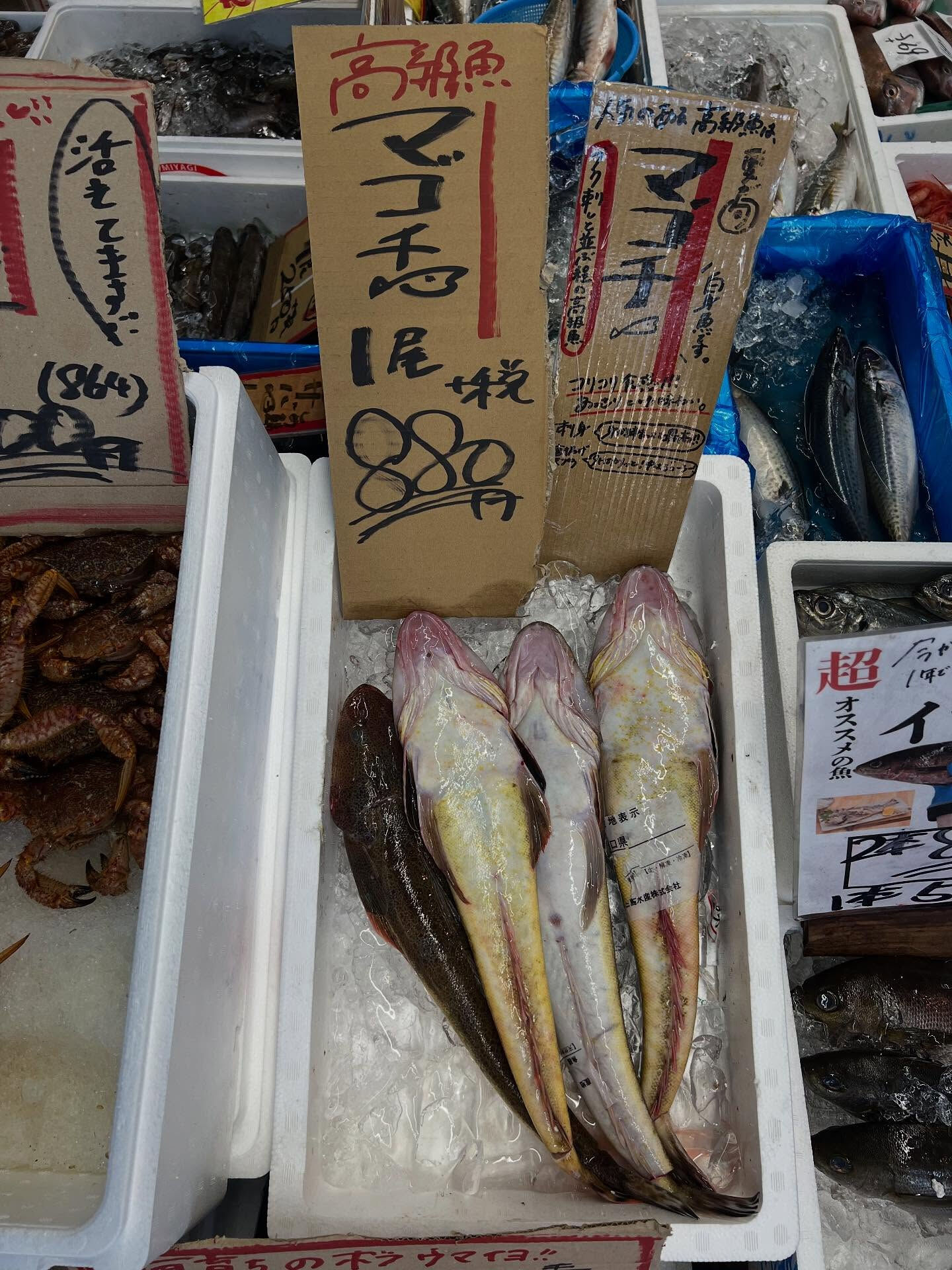 本日木曜日start!!