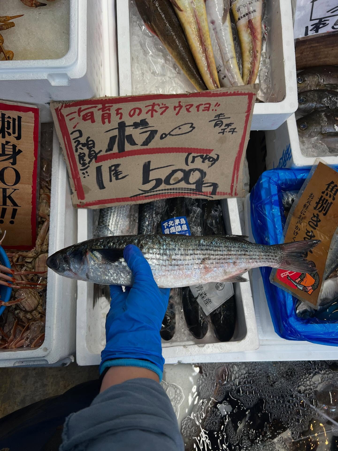 本日木曜日start!!
