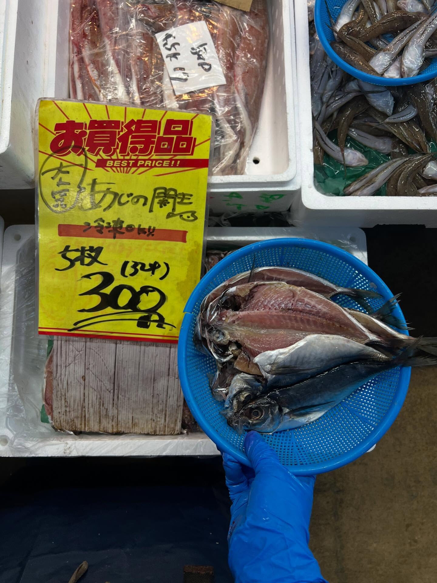 本日木曜日start!!