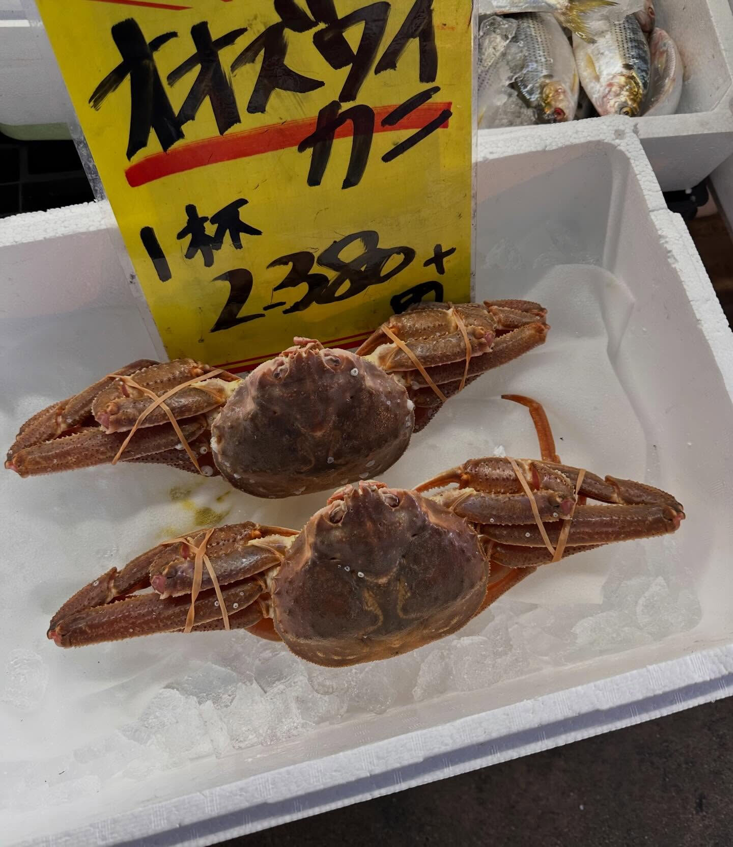 2/20(金) 